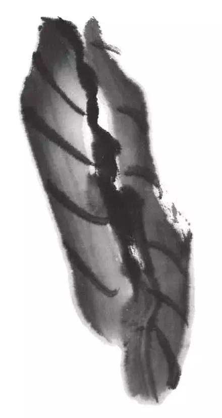 白描荷花的画法图片,如何画荷花白描大片