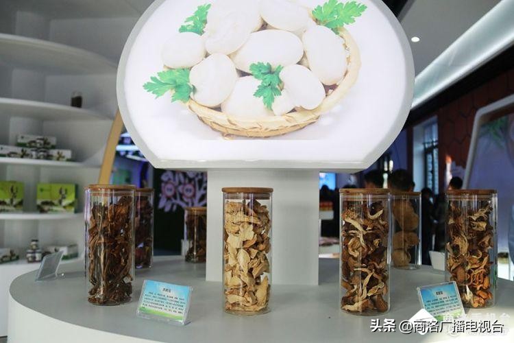 2018商洛市重大项目观摩排名出炉,2018年商洛市重大项目