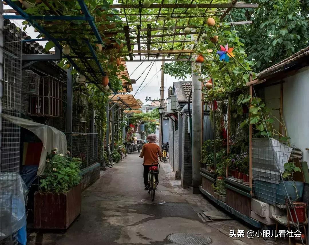 北京人真实生活视频,北京人二环的真实生活