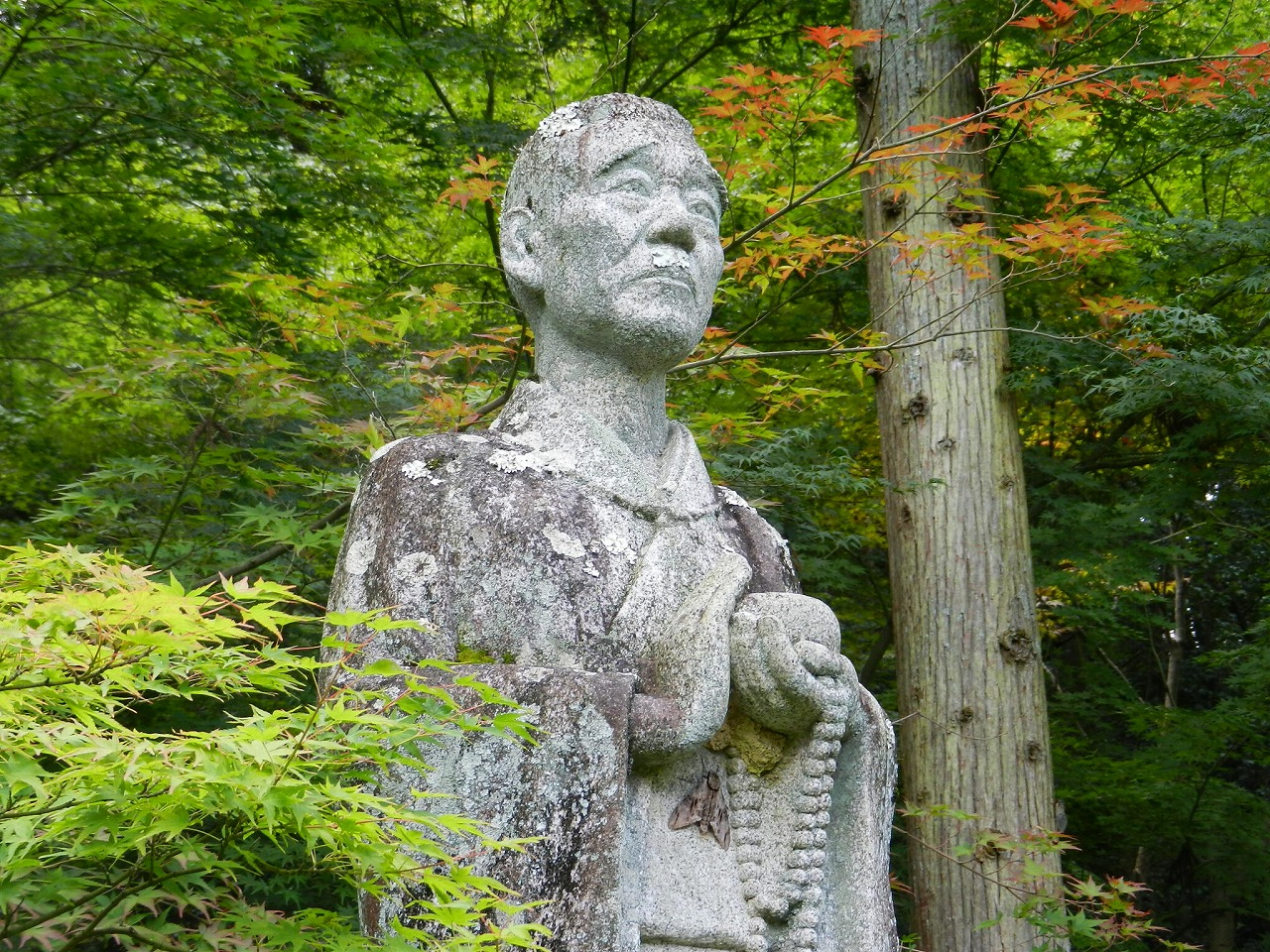 这个童年里的小光头,不只是你小时候想得那么简单「083期」