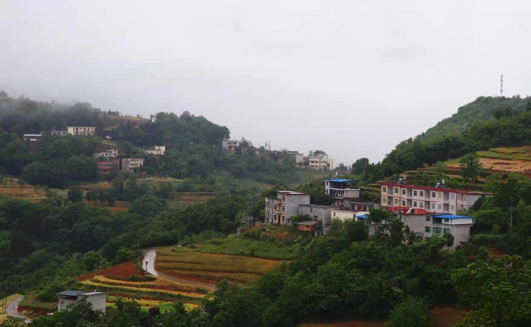 柯道士身世之谜浅析