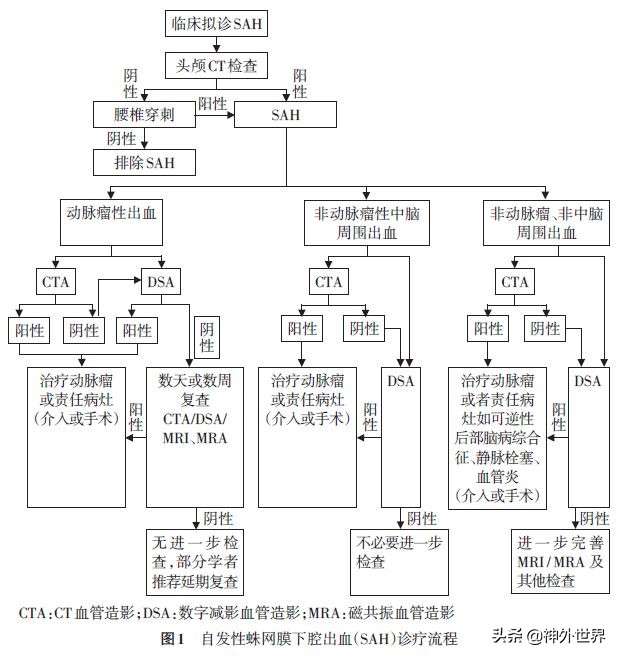指南共识|2019中国蛛网膜下腔出血诊治指南