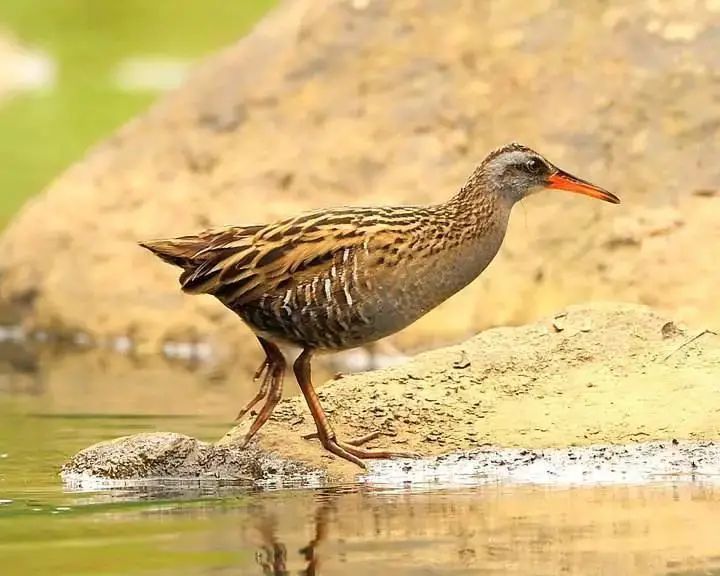 采访72岁年轻人,8090后的真实童年生活