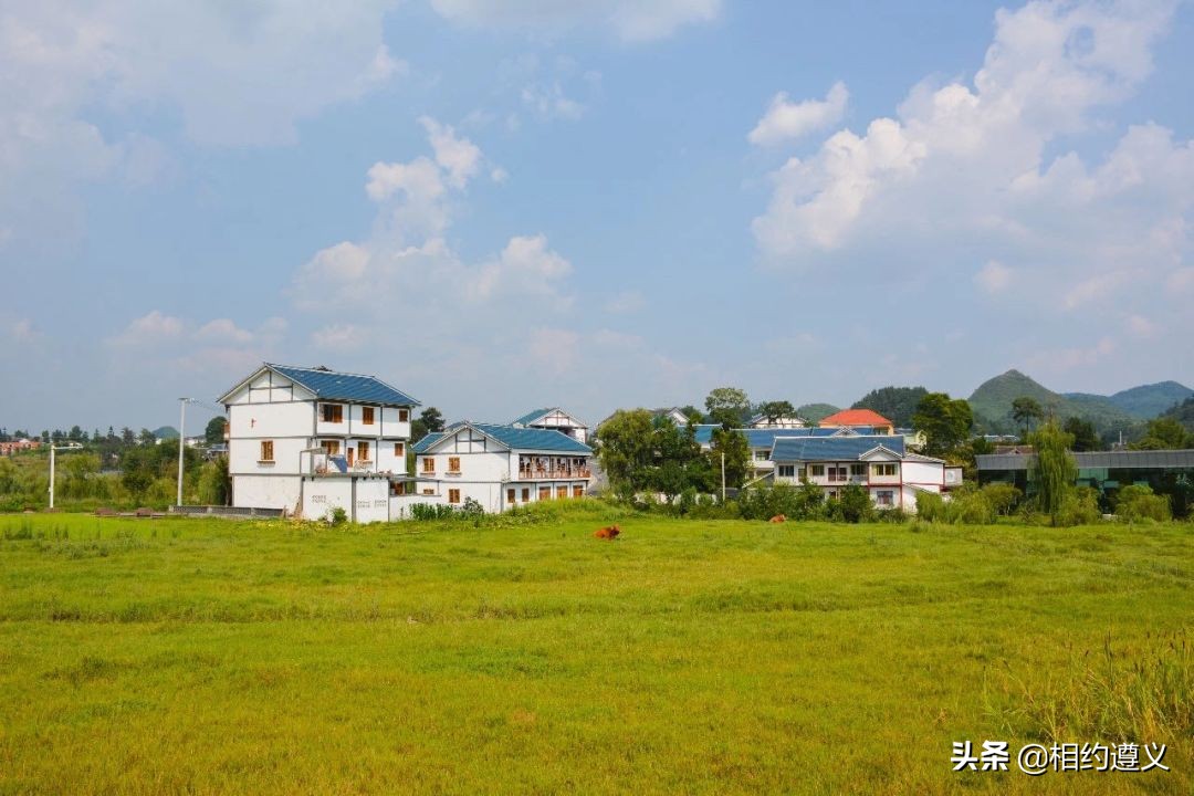 遵义一座来了就不想走的城市,醉美之城遵义太美了