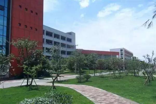 公办小学初中全面开花,龙泉的高中整体实力到底如何?