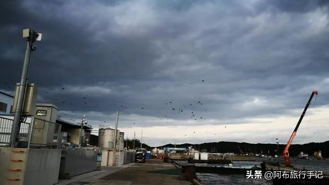 极简日语生存指南：日本旅行想收获更多，会这几句有用