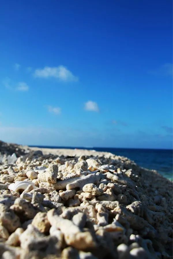 五一节国外旅游推荐地方,五一假期适合去哪里旅游国外