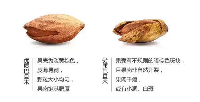 坚果营养好？这种坚果有毒吃不得，家长不会选择会害了娃