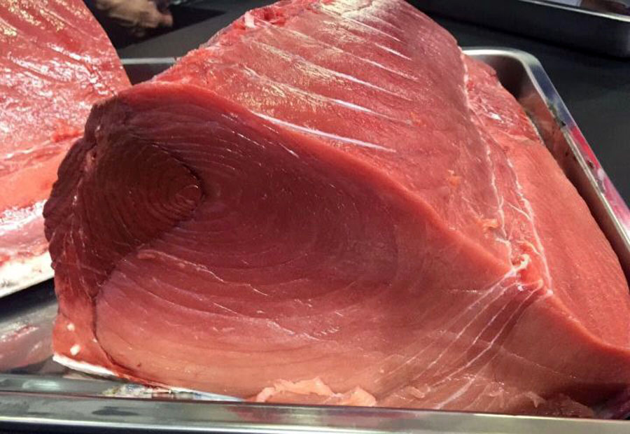 钓鱼的方法可以一秒钓到鱼,钓鱼变成荒野求生