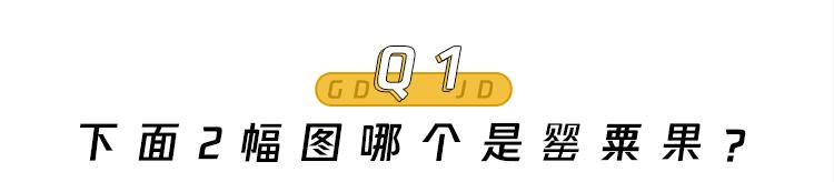 特殊时期的火锅,特殊时期可以吃什么外卖