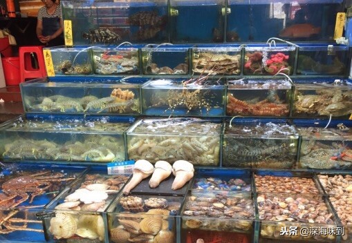 刺身是煮着吃还是烤着吃,刺身的选择冰冻的还是冰鲜的