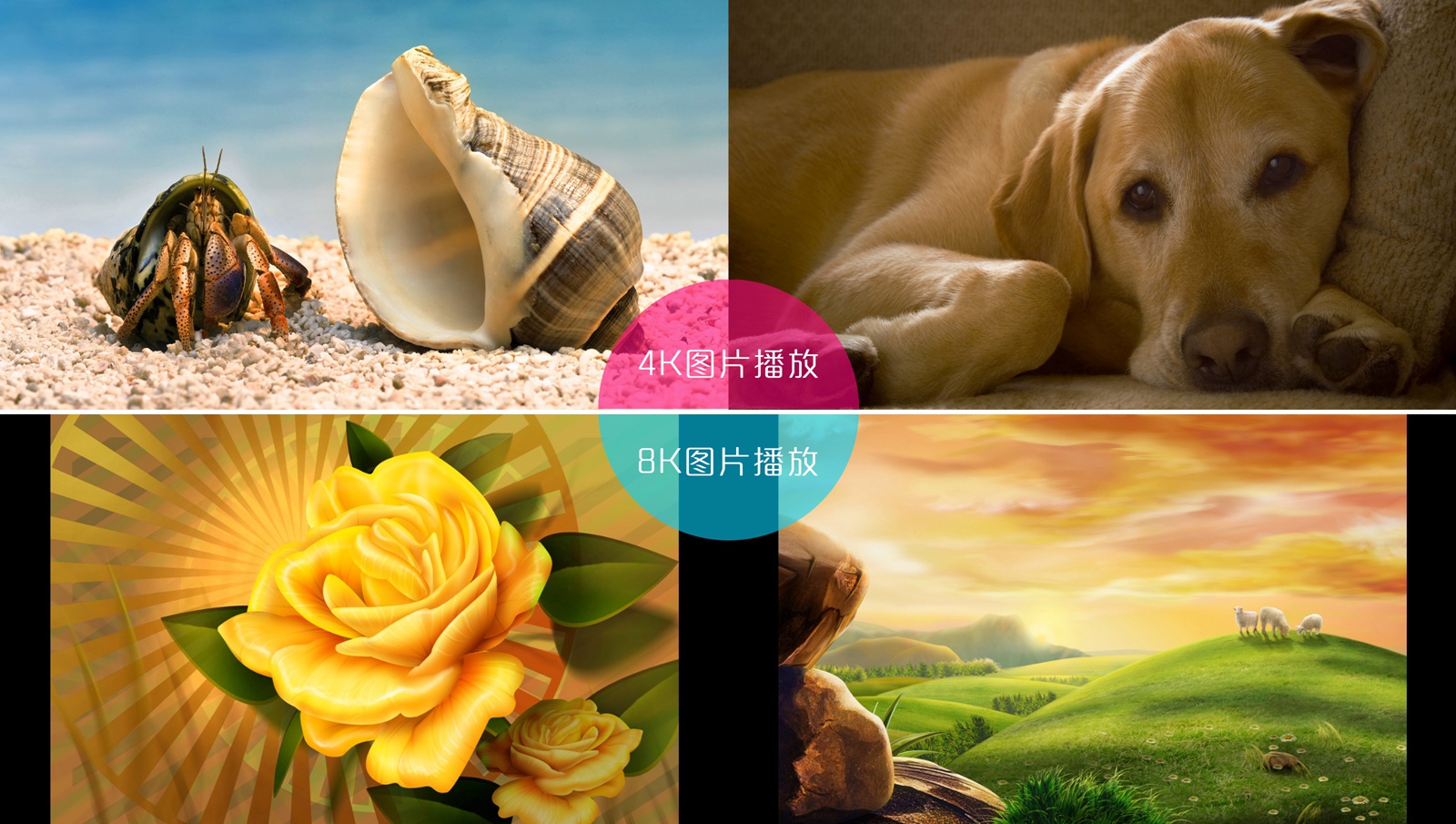 京东盒子抢先体验——OTT圈你好，JD来了