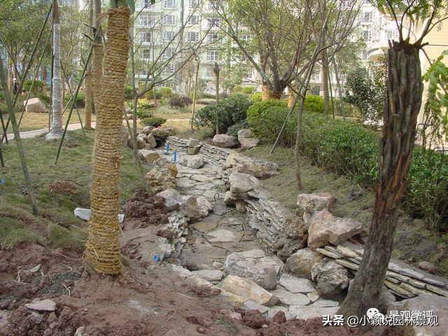 住宅小区植物配置方案,植物种植小技巧一览表图