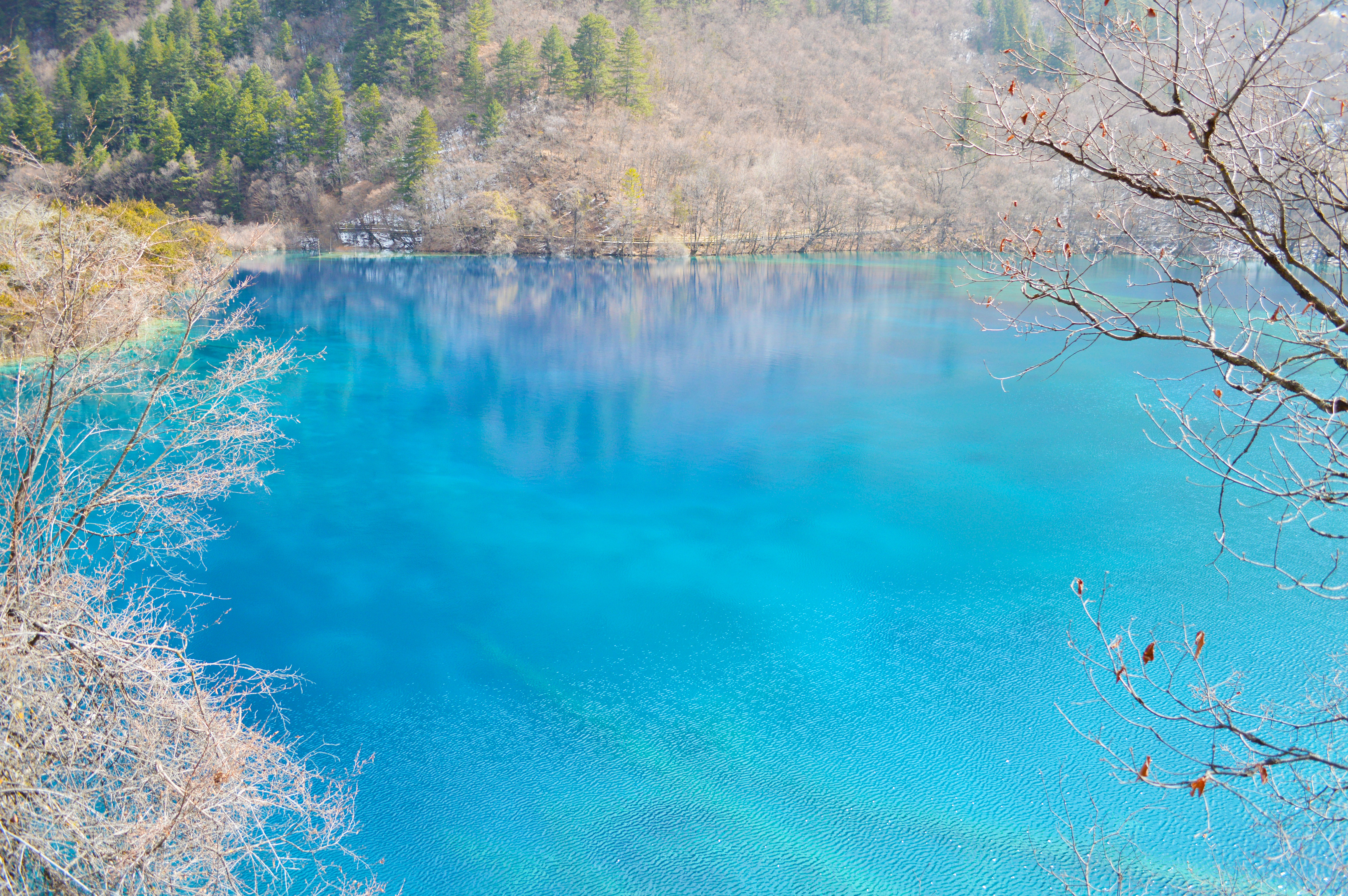 九寨沟震后最美景点开放了吗,九寨沟地震珍贵景点