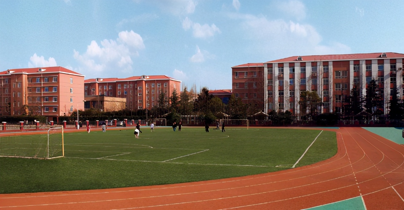 宁河区重点中学排行榜,天津宁河区哪的教育资源好