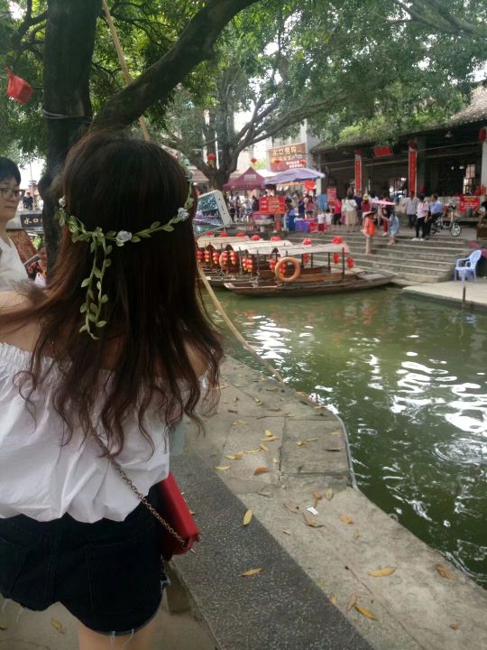 顺德杏坛逢简水乡地址,顺德杏坛逢简水乡简介