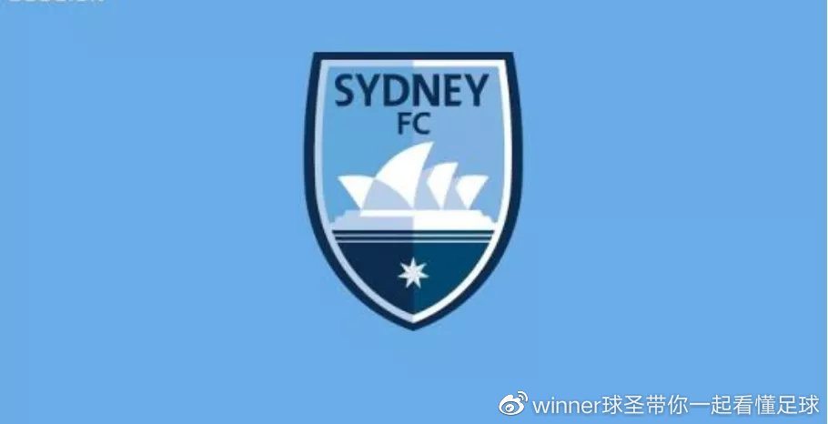 winner婢冲ぇ鍒╀簹,winner瓒崇悆