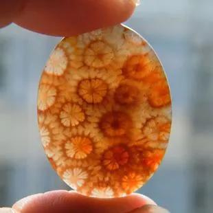 珊瑚玉的特色有哪些,珊瑚玉作用及怎么保养