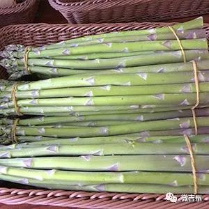 十大特色扶贫产品,第十七批全国扶贫产品名录