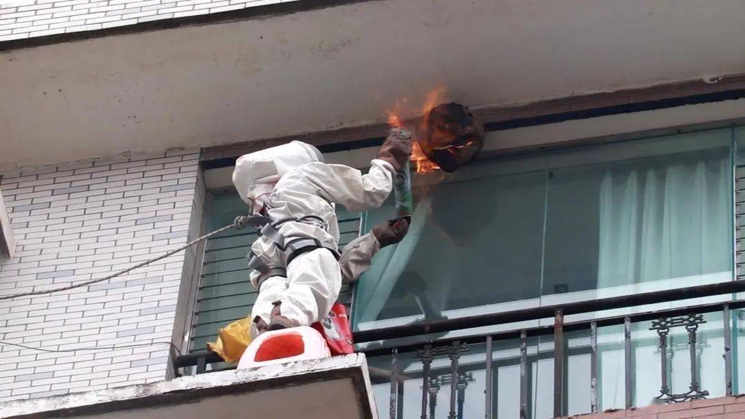 马蜂窝被打掉后马蜂会攻击人吗,马蜂窝被捅怎么让马蜂继续存活