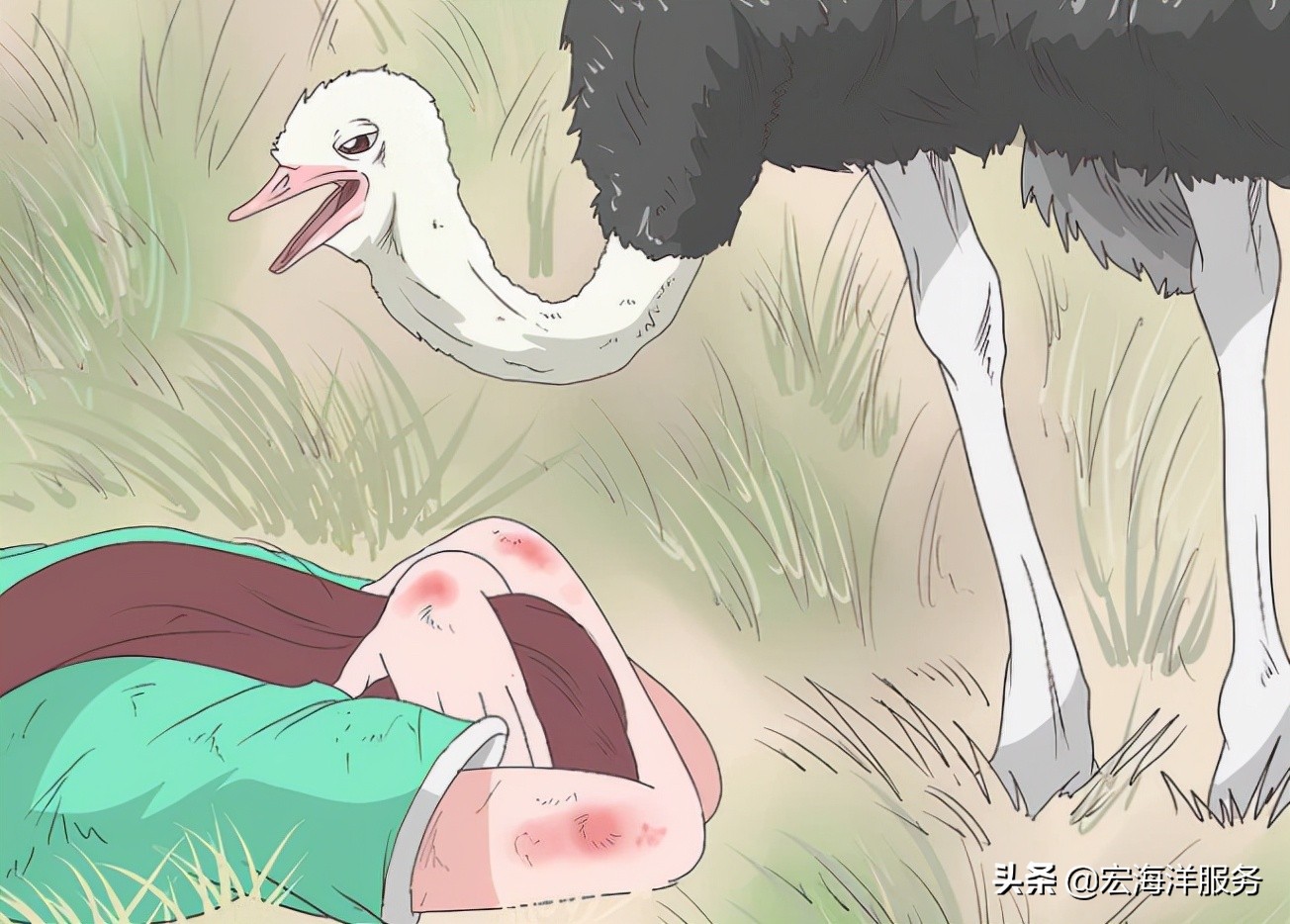 遇见野生动物不要慌,遇见鸵鸟