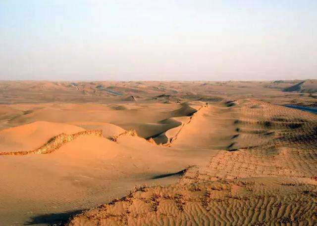 楼兰盗墓案全集,楼兰盗文物大案