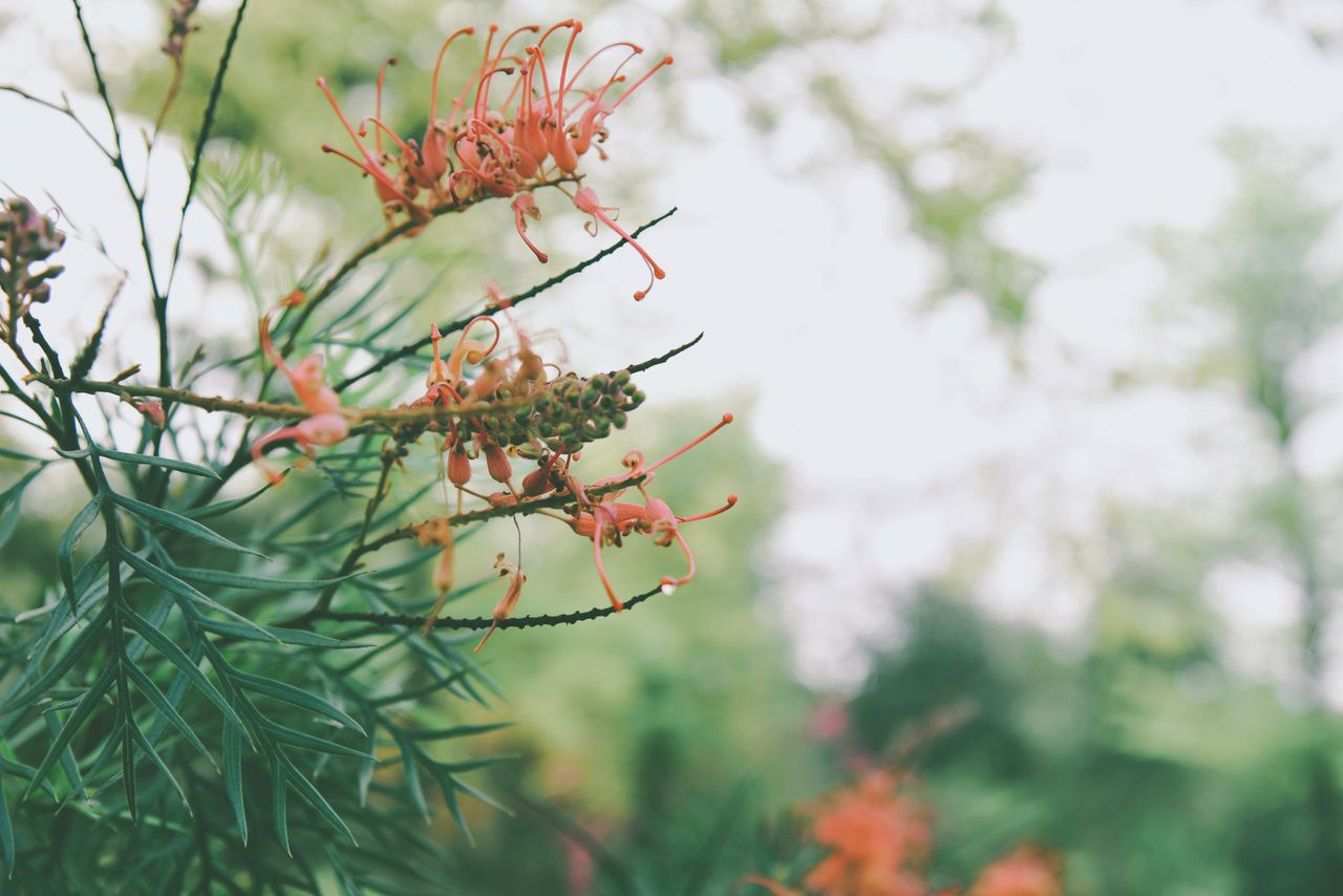 高中常见成语积累以及解释,高中必备成语大全及解释