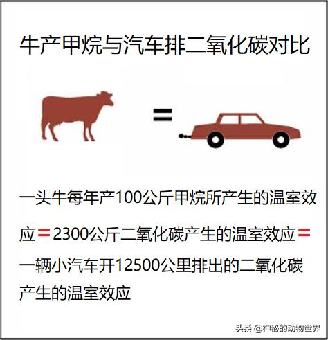 牛可产奶、产肉、有益人类，也可以产甲烷，产温室效应，有害人类