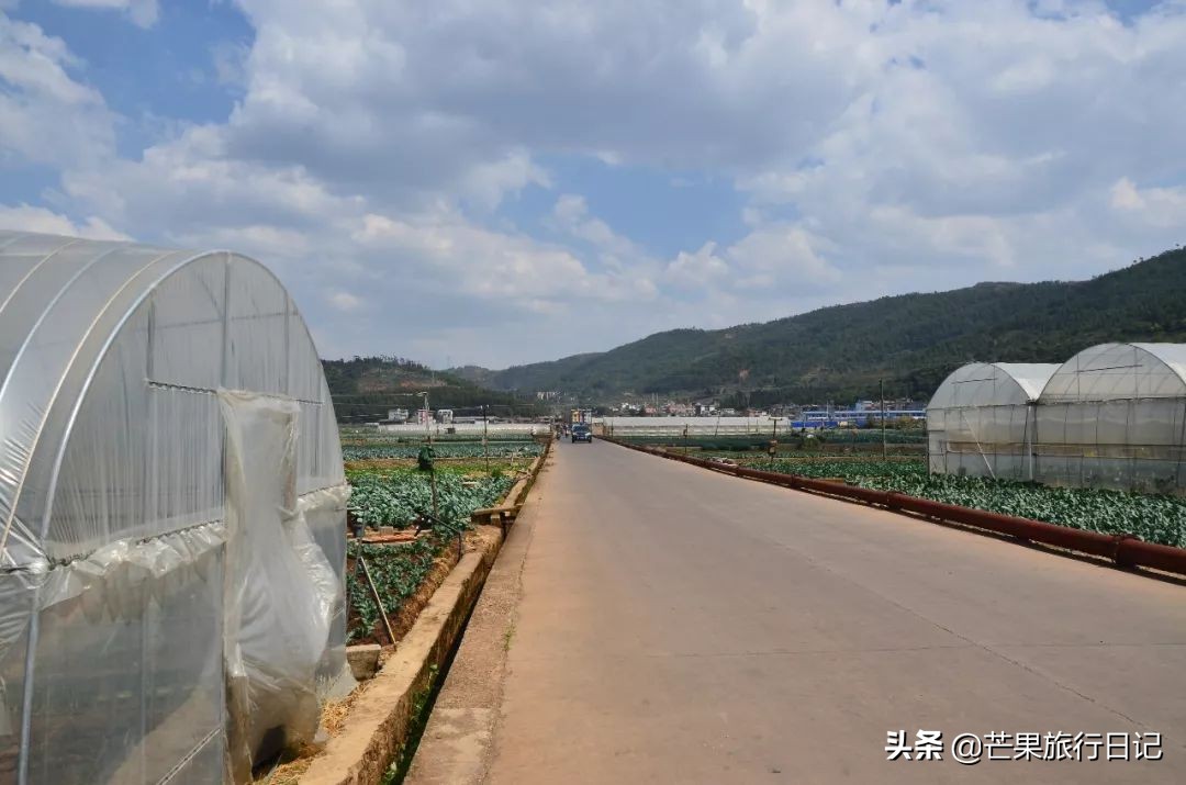 云南有块“天下第一雕”，手机拍照10元相机拍照50元，贵不贵？