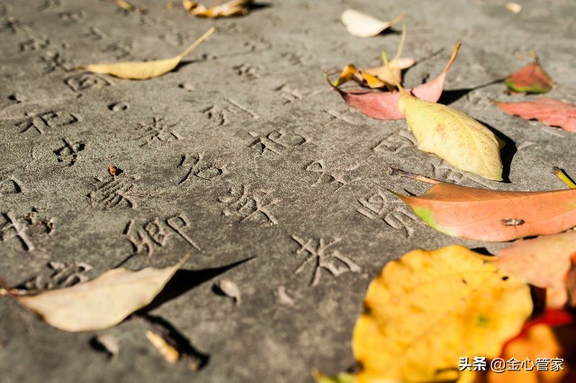 各地特色口头禅,各个地区人的口头禅