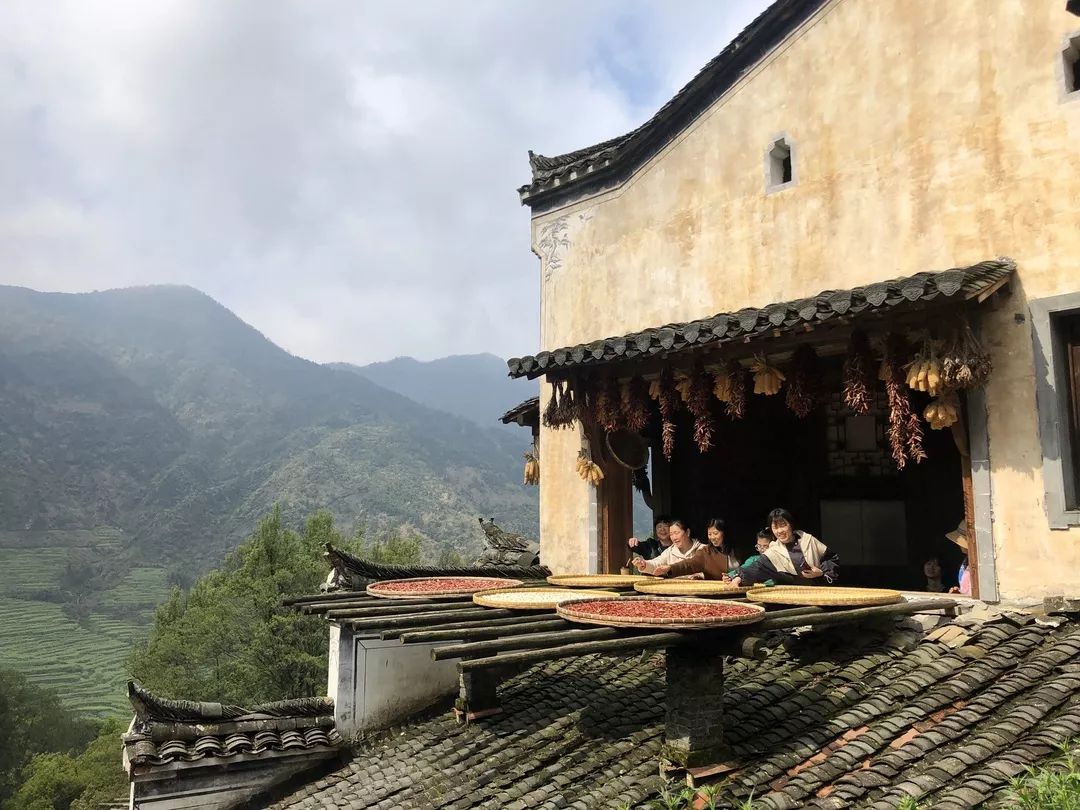 婺源清华朴园,婺源旅游攻略2日游民宿