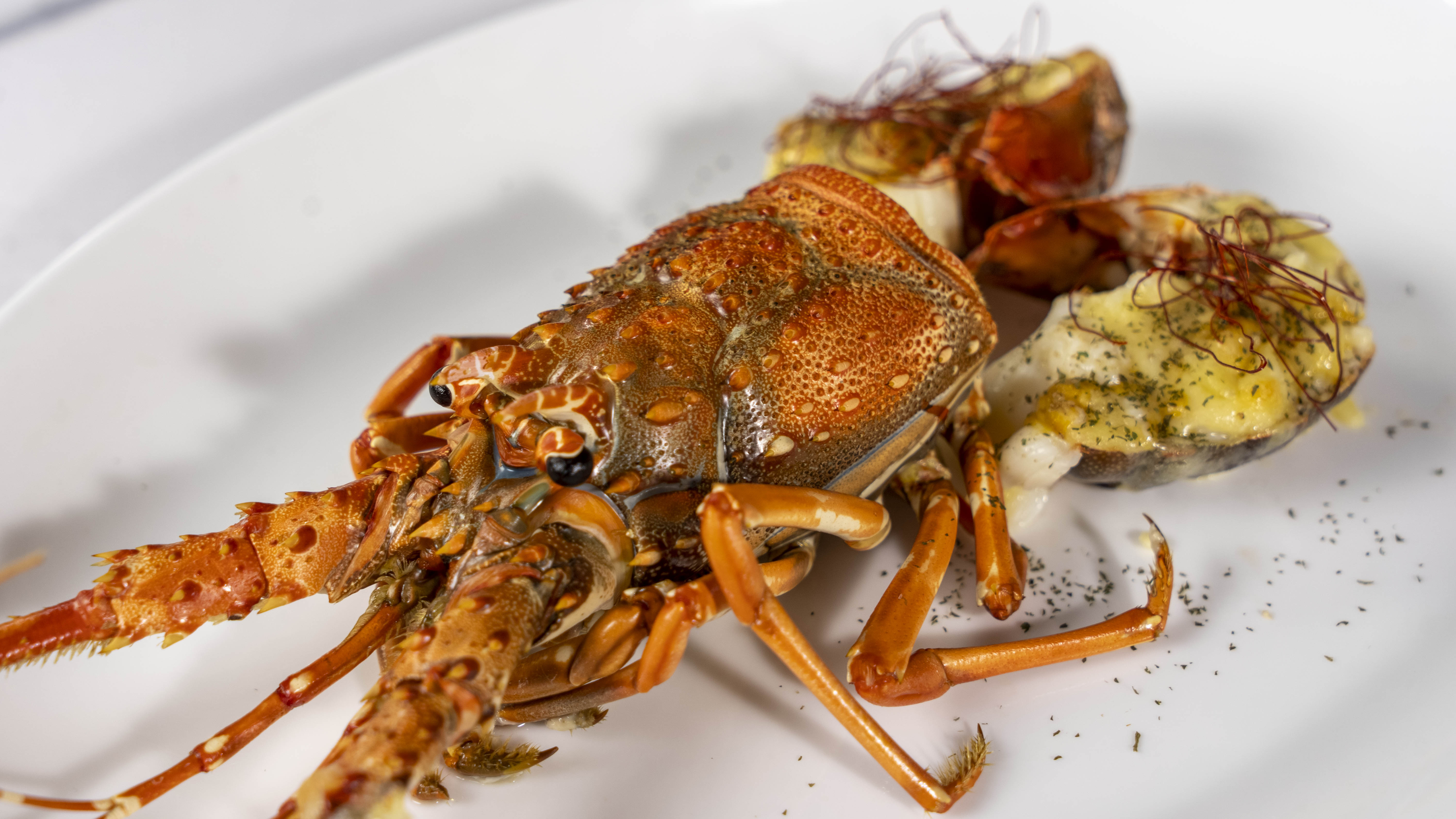 销量最好的三款嵌入式蒸烤一体机,嵌入式蒸烤一体机高性价比推荐