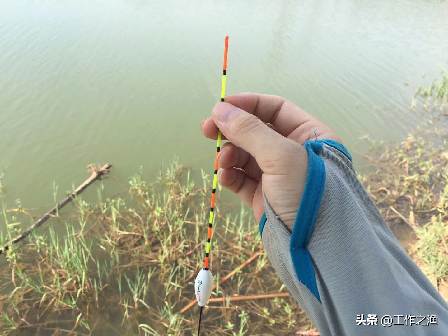 初春天气热鱼上浮水面怎么钓,高温鱼离底起浮了怎么调钓