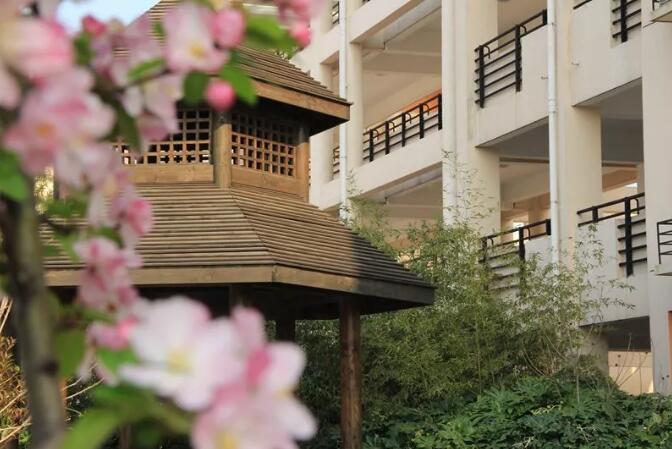 昆山最厉害的10所小学曝光,昆山十大高中