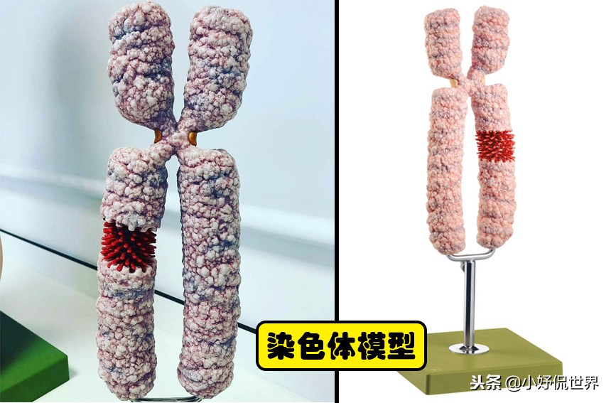 教科书照片与现实照片,教科书图片里的人