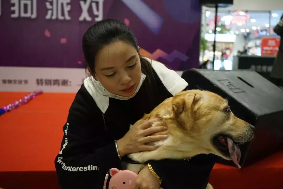 宠物生活节南京,南京宠物文化节活动