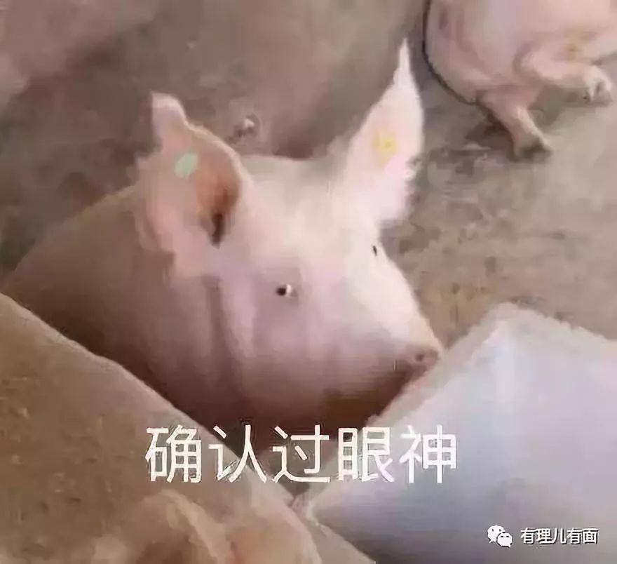 乱港暴徒六大“智熄”瞬间!确认过眼神,是不读书的人……