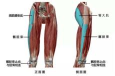 如何跑步才能避免髂胫束综合征,膝盖外侧髂胫束疼痛跑步怎么保护