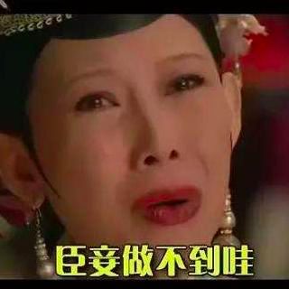 黑五疯狂抢购,黑五购物指南