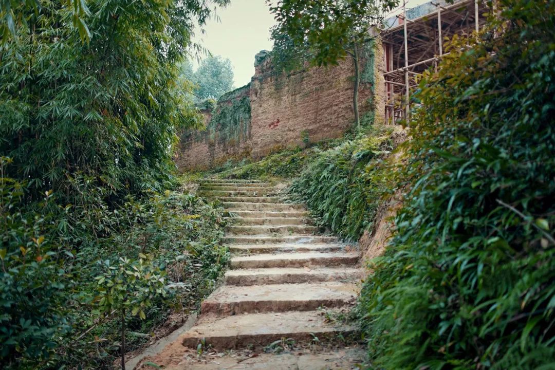 一家四口倾家荡产在山里造房隐居：3年零收入，坚持不通车