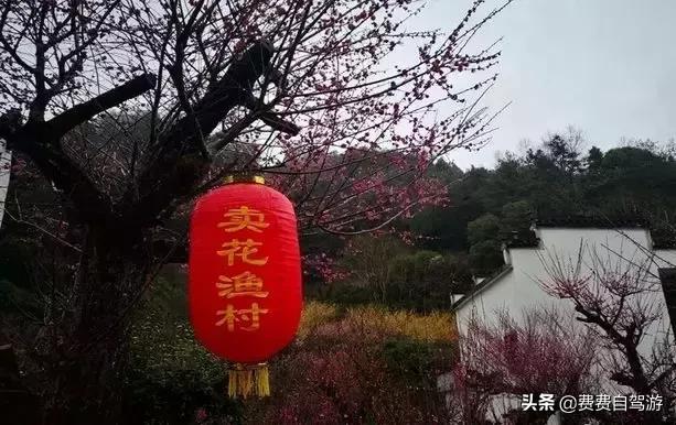 3月皖浙一号公路自驾攻略,浙皖一号公路周边自驾游