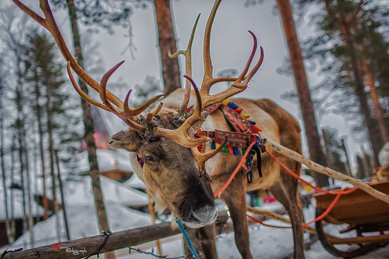 果小姐的慢生活之冰雪奇缘