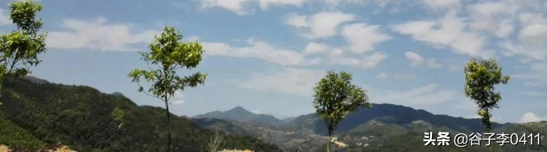 小聂的正确跑法视频,小聂跑法靠谱吗