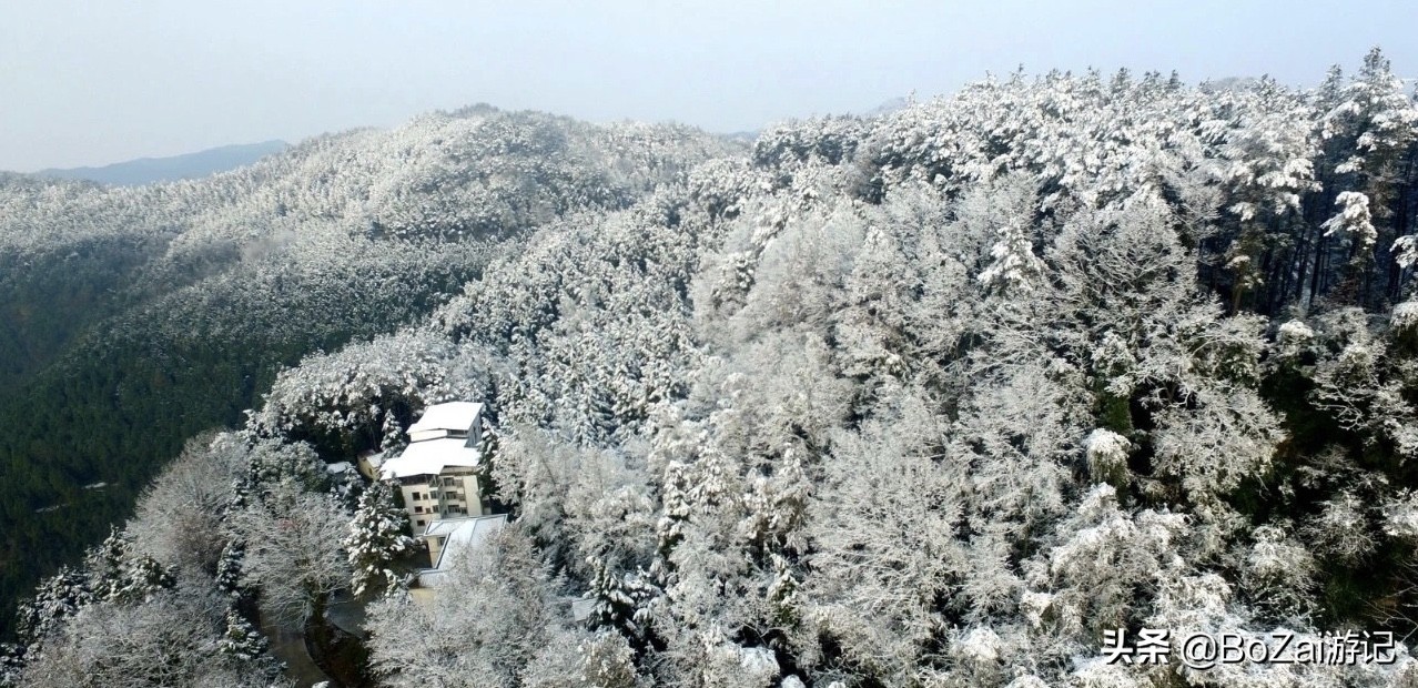 去四川南充都有哪些好耍的,南充市区最好的景点排名前十