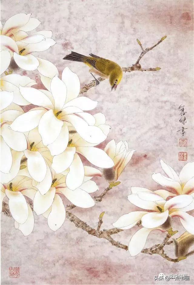 玉兰花的画法和枝干布局,玉兰花的素描画法步骤图