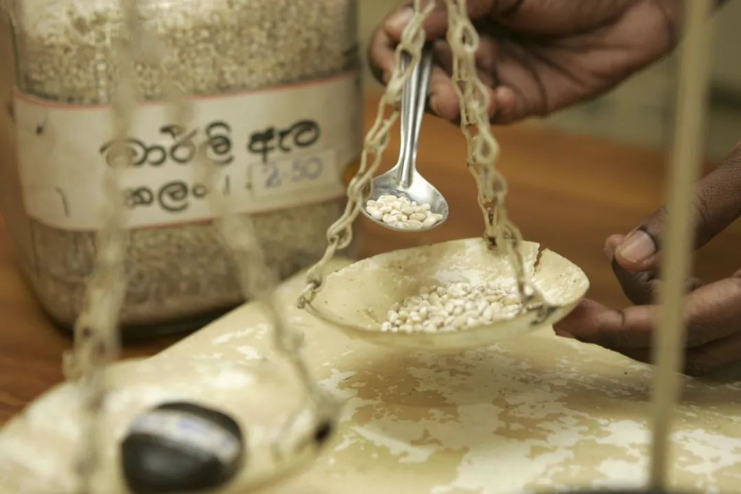 印度仿制药造成多少孩子死亡,印度仿制肿瘤药