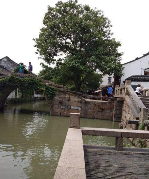 独游周庄,清明游周庄