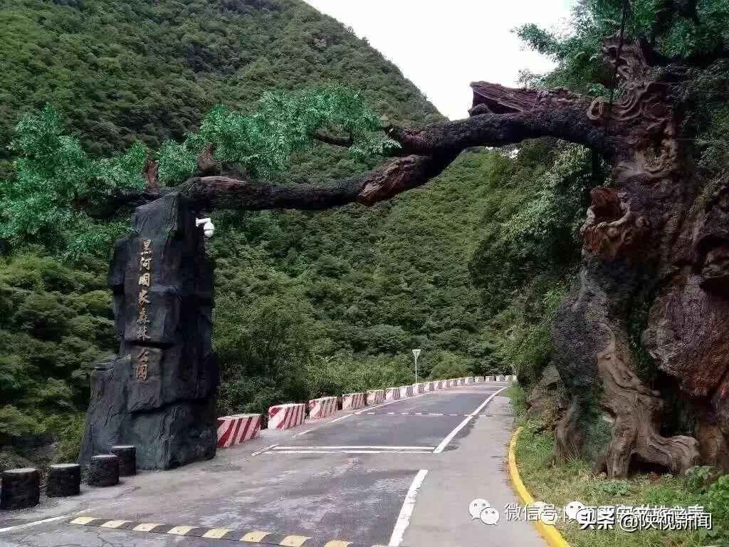 好消息！西安旅游景区向全国医务工作者全年免费开放！包括兵马俑、华清宫、大雁塔、西安城墙等5*级A**景区……