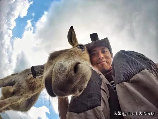 流浪云南|黑河老坡，我与驴子们的一见如故
