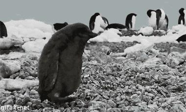 让你心动的搞笑图片,搞笑gif笑死人的动图